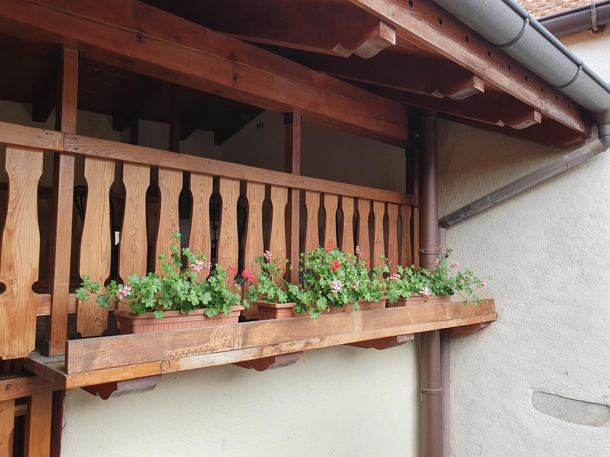 Appartamenti Vacanze E Camere Roccetta Fiorita Pettenasco Phòng bức ảnh
