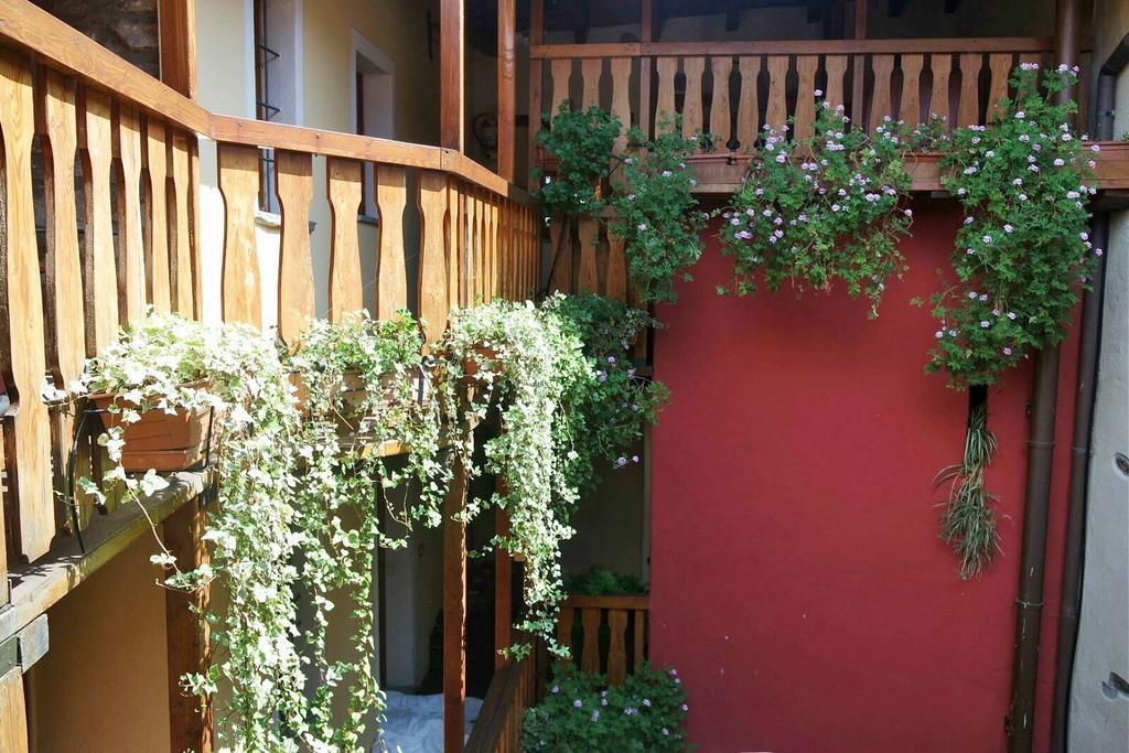 Appartamenti Vacanze E Camere Roccetta Fiorita Pettenasco Ngoại thất bức ảnh